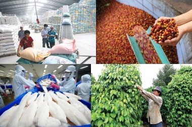 9 tháng đầu năm 2019, xuất khẩu nông lâm thuỷ sản đạt 30,02 tỷ USD