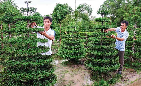 Tuổi trẻ Đồng bằng sông Cửu Long góp sức phát triển kinh tế tập thể