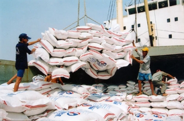 Xuất khẩu gạo Việt Nam khởi sắc trở lại