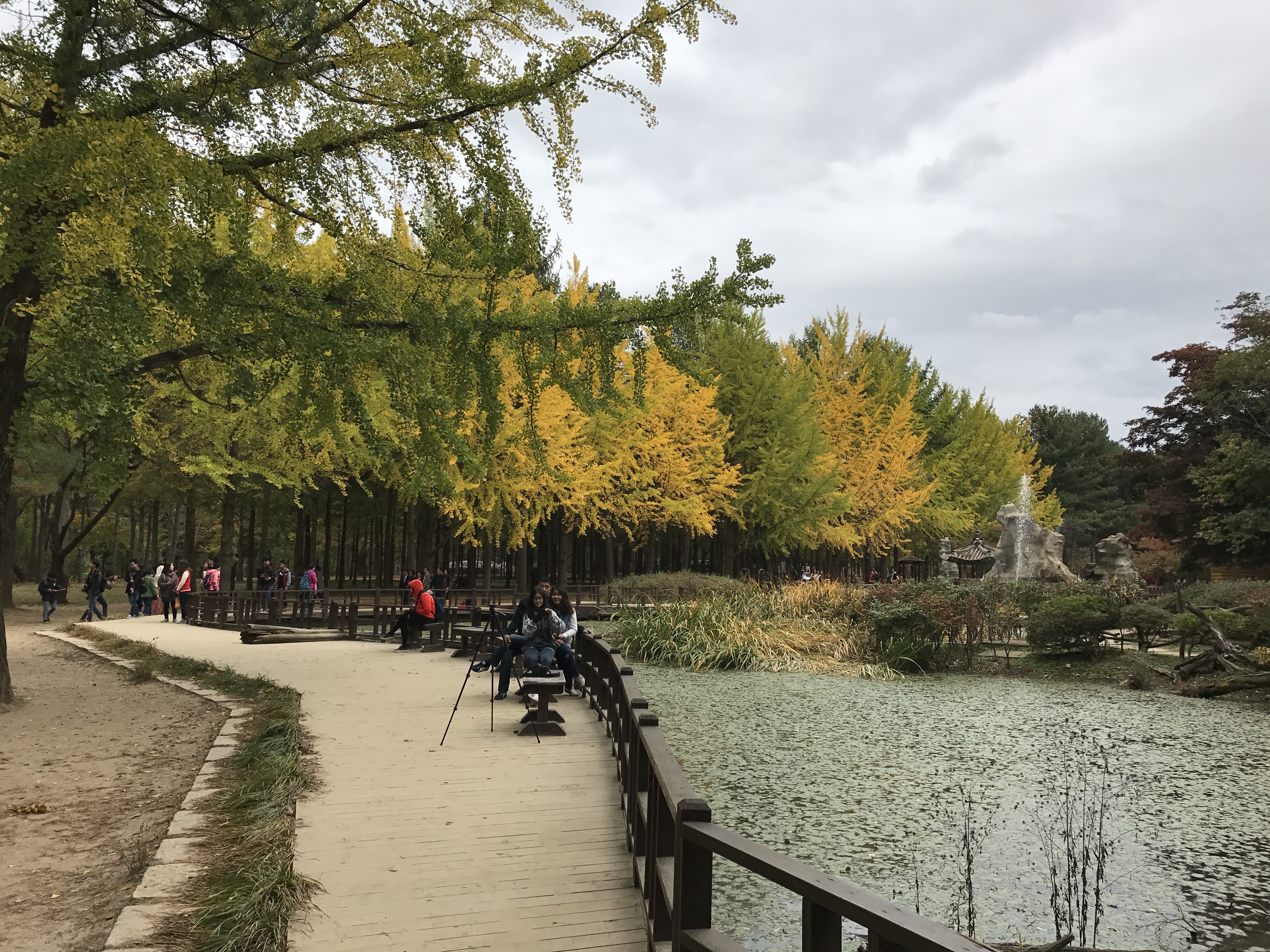 Du lịch Hàn Quốc mùa thu và những ấn tượng đẹp
