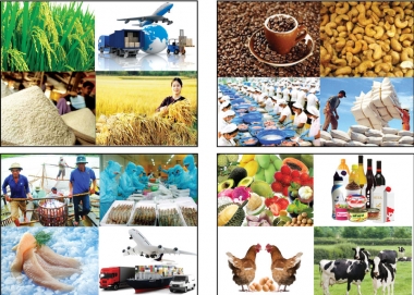 Kim ngạch xuất khẩu nông, lâm, thuỷ sản ước đạt 2,74 tỷ USD