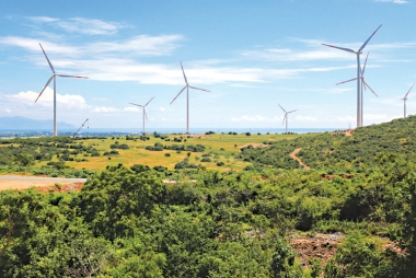 Phát triển năng lượng tái tạo ở Việt Nam: Vì sao vẫn hạn chế?
