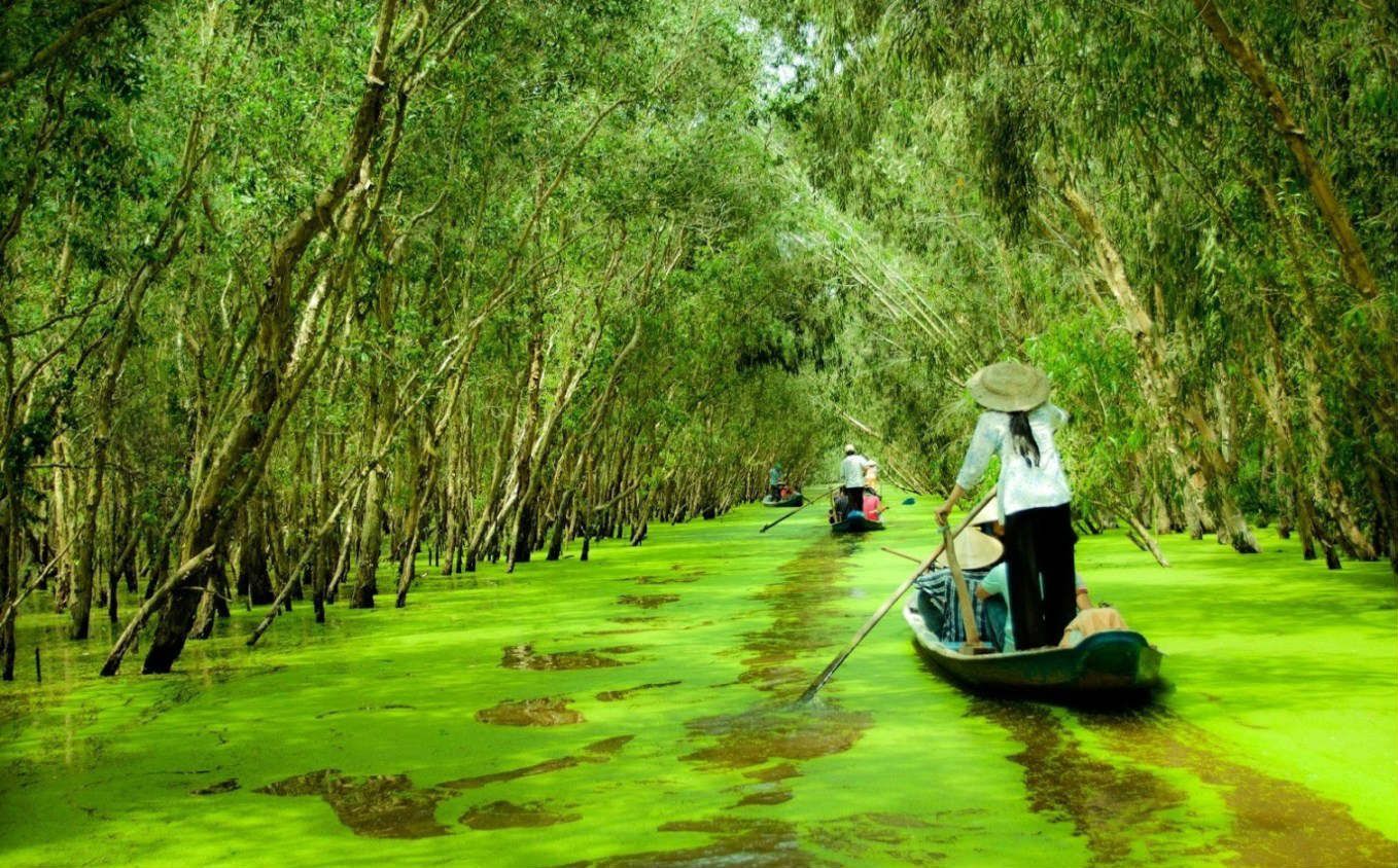 Vườn quốc gia U Minh Thượng Khám phá thiên đường hoang dã ở Kiên Giang