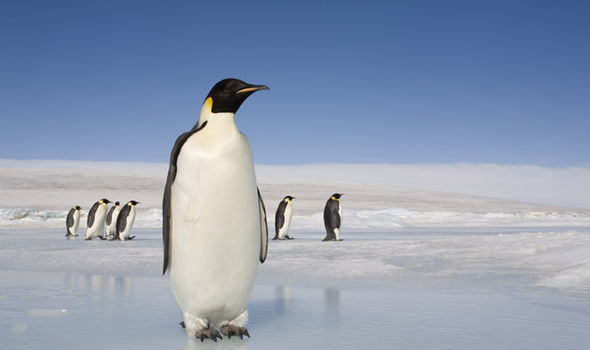 6 sự thật bất ngờ mà bạn chưa biết khi sống ở Nam Cực