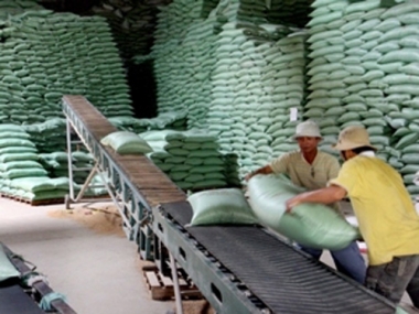 Từ 9/1/2015: Gạo xuất sang Mexico chịu thuế 20%