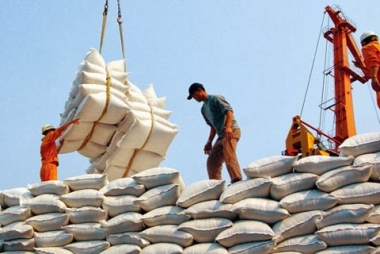 Kim ngạch xuất khẩu gạo đạt gần 2,8 tỷ USD