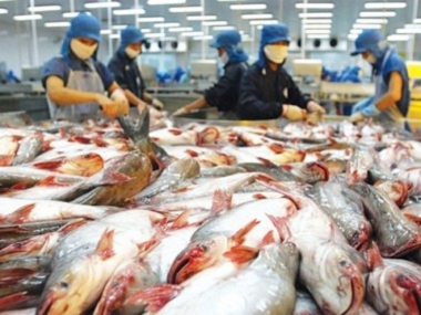 Cá da trơn Việt Nam gặp khó khăn bởi “hàng rào khắt khe” khi xuất sang Mỹ