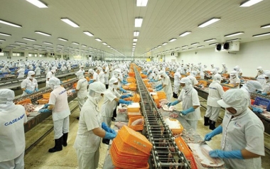 Việt Nam vẫn đứng thứ 3 về số vụ thực phẩm nhập khẩu vi phạm lớn nhất vào Hàn Quốc