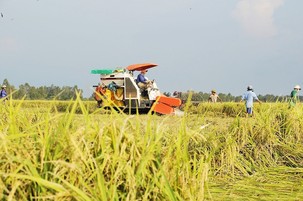 Nông nghiệp tuần hoàn: Con đường phát triển bền vững ở tỉnh Thái Bình