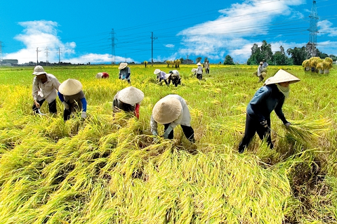 Giải pháp tiếp tục phát triển kinh tế tập thể lấy hợp tác xã làm nòng cốt ở Việt Nam trong bối cảnh mới hiện nay