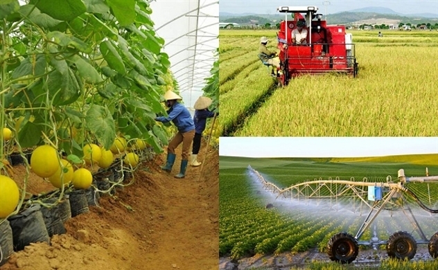 Đầu tư trực tiếp nước ngoài vào ngành nông nghiệp ở vùng Kinh tế trọng điểm phía Nam: Thực trạng và giải pháp
