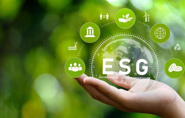 Hành trình ESG của Việt Nam: Thực trạng và giải pháp