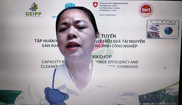 bà Nguyễn Thị Truyền-Giám đốc Trung tâm Tư vấn và Dịch vụ Tài nguyên và Môi trường (NREC)