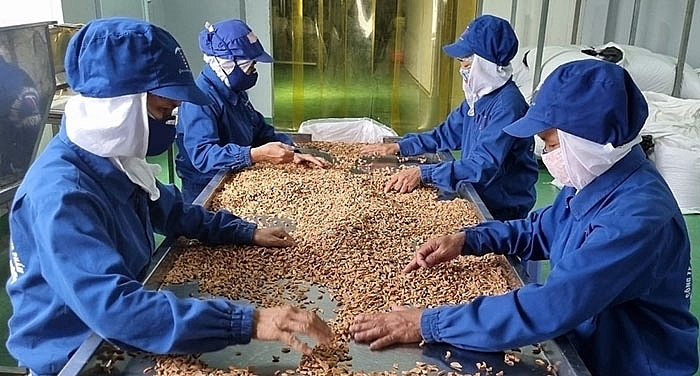 Công ty CP Chế biến nông sản Tân Hương, tỉnh hải Dương tăng cường khai thác thị trường tiêu thụ trong nước với các sản phẩm gia vị sấy khô 1