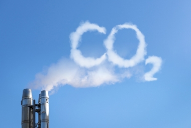 Mối quan hệ giữa tăng trưởng của thị trường carbon toàn cầu với khả năng chống biến đổi khí hậu