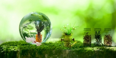 Các nhân tố ảnh hưởng đến Hành vi mua mỹ phẩm xanh  của sinh viên Việt Nam: Nhìn từ Ý định mua