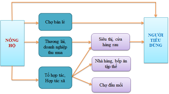 Phát triển ứng dụng logistics xanh cho hệ thống trồng rau sạch ở TP. Hồ Chí Minh