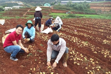 Các yếu tố ảnh hưởng đến sự tin tưởng của nông dân trồng khoai tây đối với đại lý thu mua tại Lâm Đồng