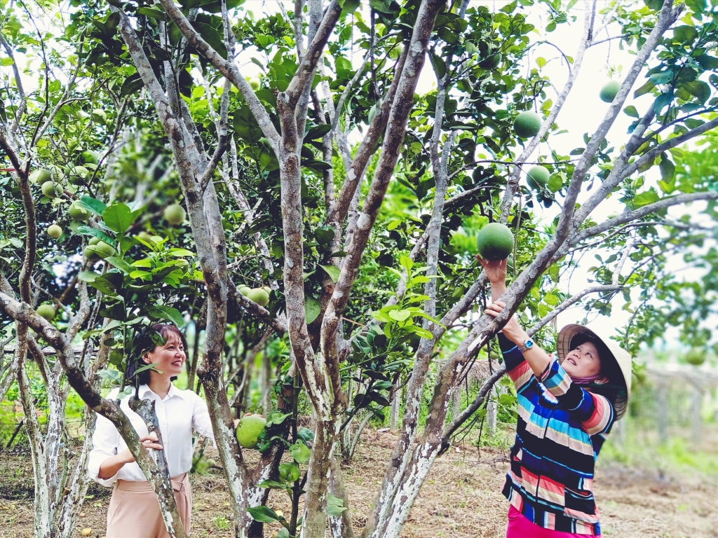 Các nhân tố tác động đến đánh giá của các hộ nghèo về công tác giảm nghèo bền vững trên địa bàn huyện Nông Sơn, tỉnh Quảng Nam