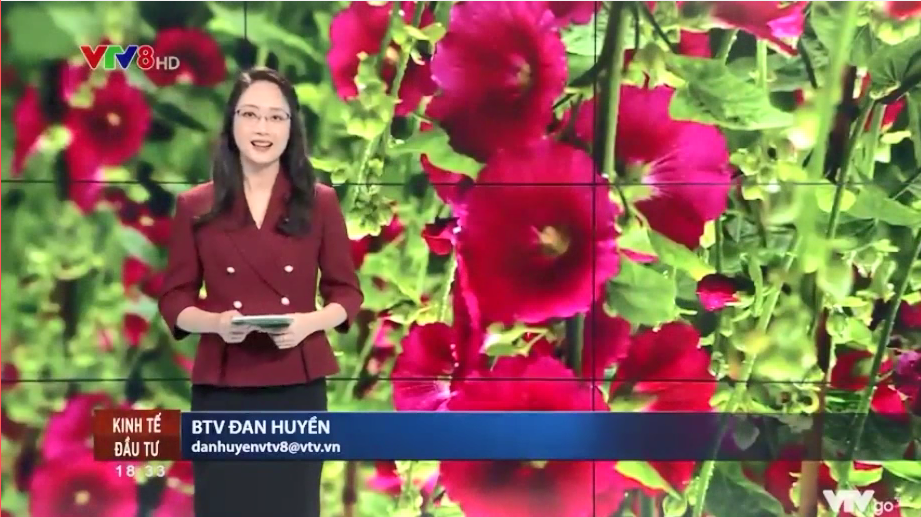 Trưng bày cây cảnh - thú vui tao nhã của người Việt Nam ngày Tết