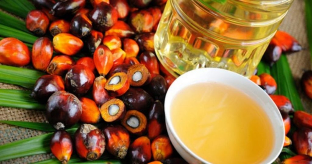 Khủng hoảng nguồn cung ứng dầu mỡ thực vật: Indonesia cấm xuất khẩu dầu cọ thô và dầu ăn