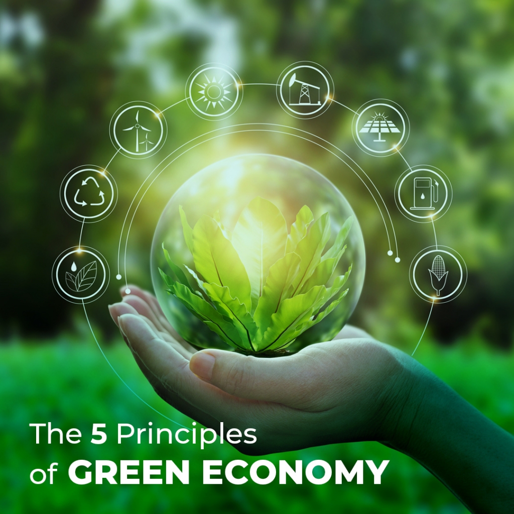 5 nguyên tắc của nền kinh tế xanh và 5 biện pháp để phát triển bền vững