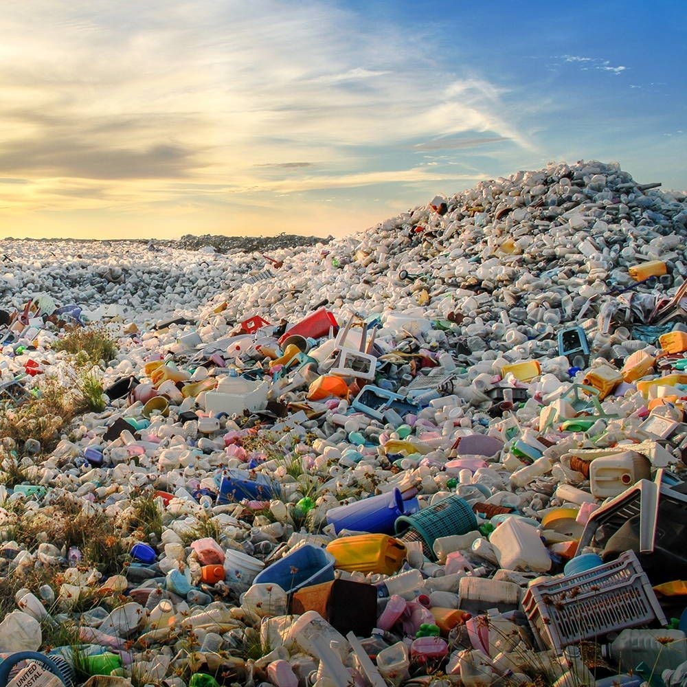 Xử lý rác thải nhựa: “Siêu giun” có thể là giải pháp mới | Tạp chí ...