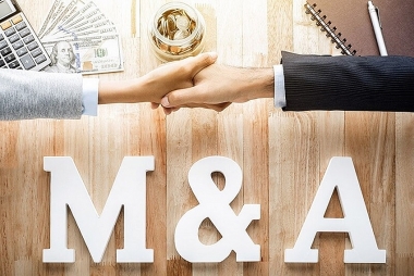 Thị trường M&A năm 2025: Thương vụ  “khủng”,  chiến lược thắng lợi và những yếu tố bất ngờ