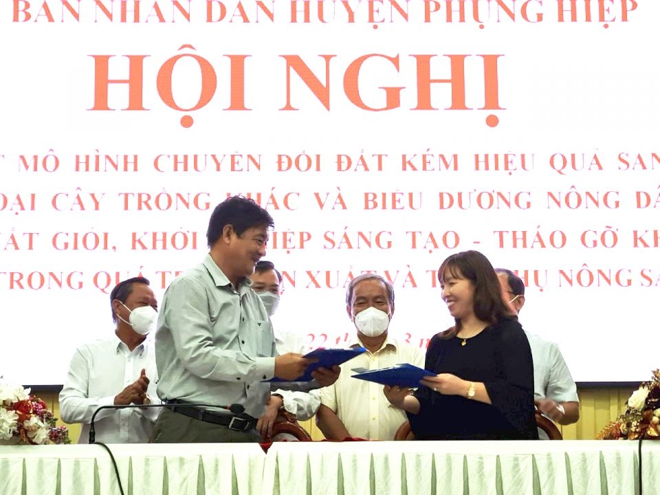 Westfood ký thỏa thuận mở rộng vùng nguyên liệu trồng dứa MD2 tại Hậu Giang Westfood ký thỏa thuận mở rộng vùng nguyên liệu trồng dứa MD2 tại Hậu Giang