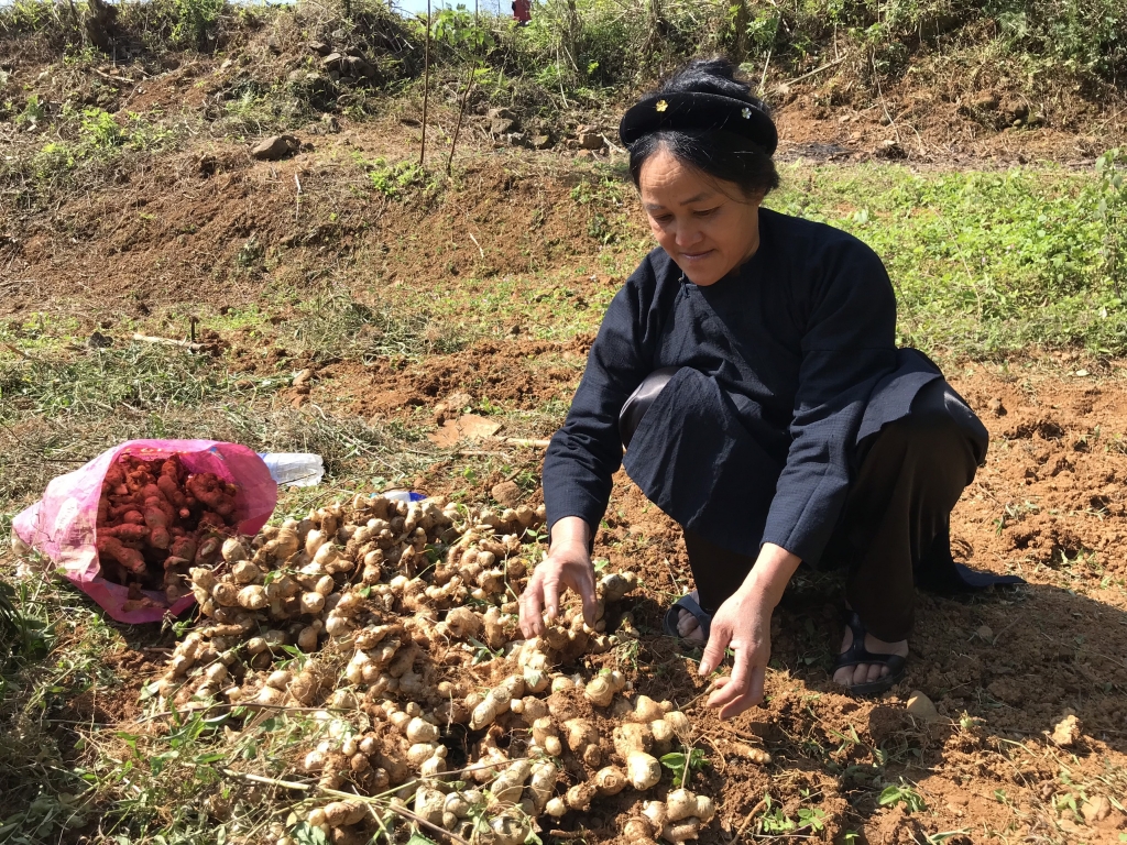 AAV tổng kết Chương trình phát triển hỗ trợ người dân Thông Nông/Hà Quảng thoát nghèo