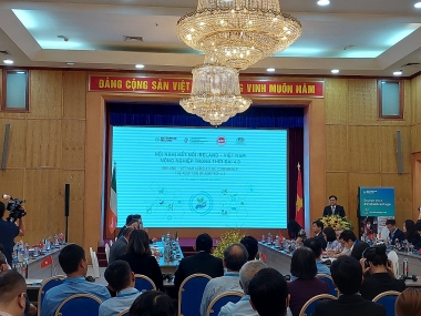 Thúc đẩy hợp tác nông nghiệp công nghệ cao Việt Nam và Ireland