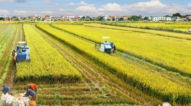 Đến năm 2030, phát triển vùng ĐBSCL trở thành trung tâm kinh tế nông nghiệp bền vững