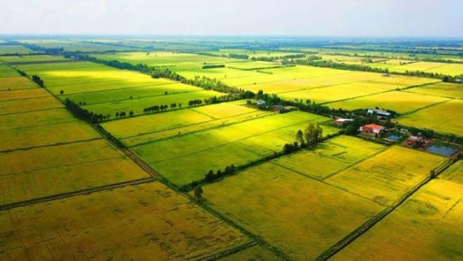Thí điểm về trình tự, thủ tục chấp thuận chuyển mục đích sử dụng đất trồng lúa tại tỉnh Khánh Hòa