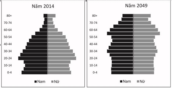 Biến đổi cơ cấu tuổi dân số, tăng trưởng kinh tế và phúc lợi hưu trí ở Việt Nam