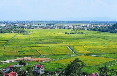 Chấp thuận cho tỉnh Long An chuyển mục đích sử dụng 65ha đất trồng lúa sang đất phi nông nghiệp