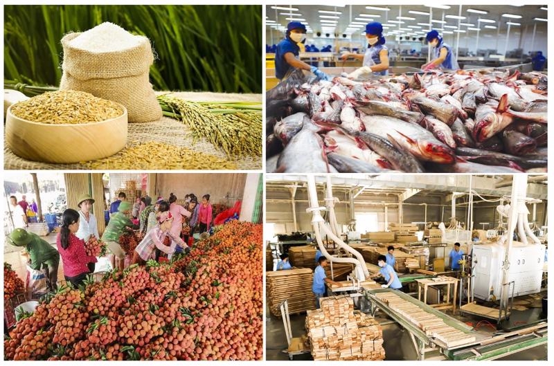 Tháng 4/2022: Kim ngạch xuất khẩu nông, lâm, thủy sản ước đạt hơn 4,8 tỷ USD