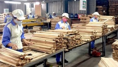 Năm 2025, mục tiêu xuất khẩu gỗ và lâm sản ngoài gỗ đạt khoảng 20 tỷ USD