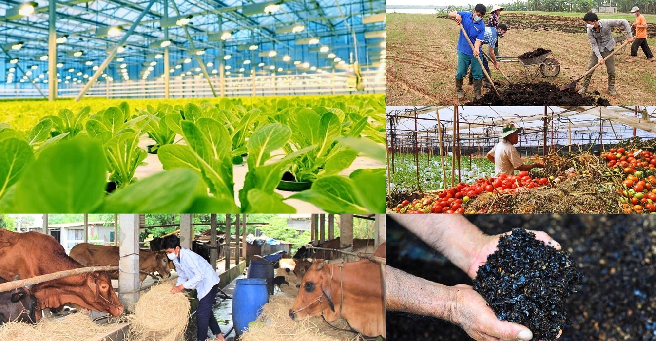 Giải pháp phát triển nông nghiệp tuần hoàn ở Việt Nam