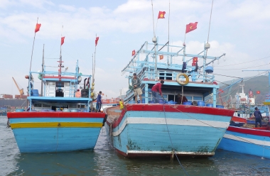 Mở đợt cao điểm kiểm tra nhằm gỡ cảnh báo “Thẻ vàng” của EC đối với thủy sản Việt Nam