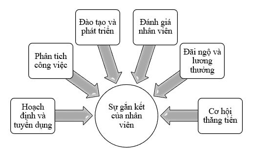 Tác động của quản trị nguồn nhân lực đến sự gắn kết của nhân viên: Trường hợp doanh nghiệp Nhật Bản tại Việt Nam