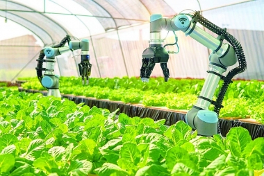 Ứng dựng trí tuệ nhân tạo trong mô hình kinh doanh của hợp tác xã nông nghiệp khu vực Đồng bằng sông Cửu Long: Thực trạng và giải pháp