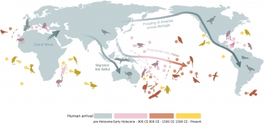 Đã có 1430 loài chim tuyệt chủng do con người: cao gấp đôi so với suy đoán trước đây