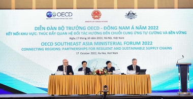 Thành lập Mạng lưới doanh nghiệp OECD – Đông Nam Á