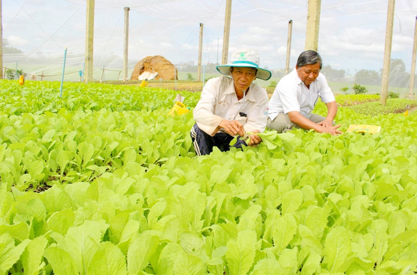 Thực trạng lao động và việc làm của lao động nông thôn tỉnh Đồng Nai