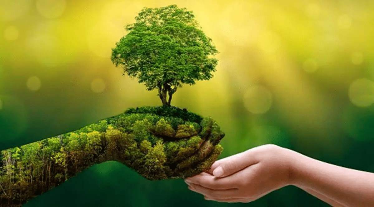 Đo lường phát triển kinh tế xanh tại Việt Nam trong giai đoạn 2013-2023