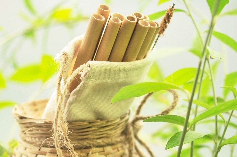 Các yếu tố ảnh hưởng đến ý định tiêu dùng xanh của người dân tại TP. Hồ Chí Minh