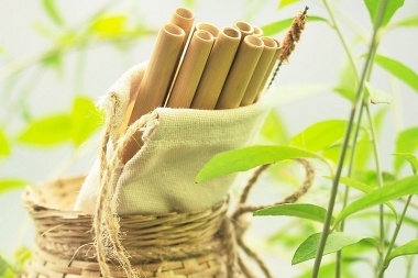 Các yếu tố ảnh hưởng đến ý định tiêu dùng xanh của người dân tại TP. Hồ Chí Minh