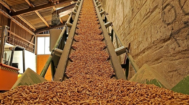 Bình Định có thêm Dự án Nhà máy sản xuất viên nén gỗ quy mô trên 341 tỷ đồng