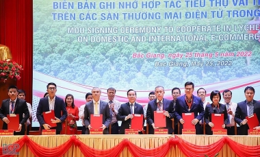 Đẩy mạnh hiệu quả tiêu thụ vải thiều Bắc Giang năm 2022