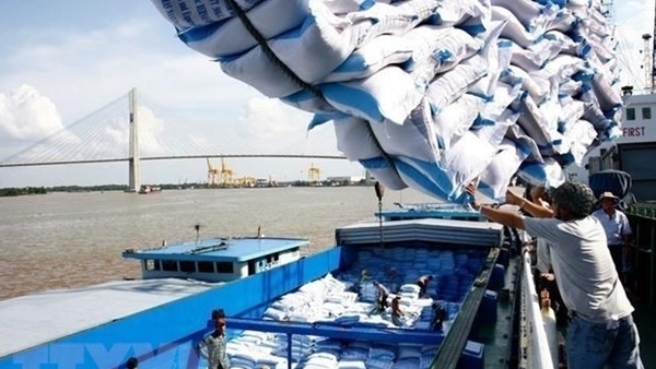 Cơ hội cho Việt Nam khi châu Phi dự kiến nhập khẩu khoảng 17,7 triệu tấn gạo năm 2023